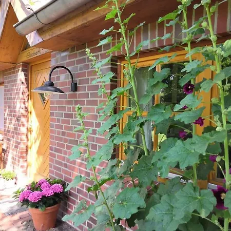 בית כפרי Trapp Ellringen