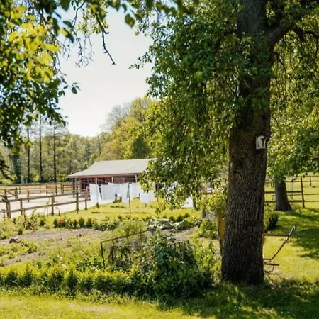 Trapp * Ellringen