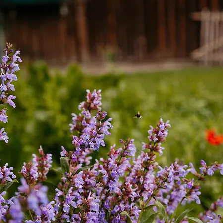 Trapp 컨트리하우스 *