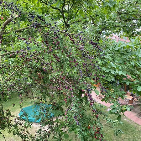 Trapp 컨트리하우스 *