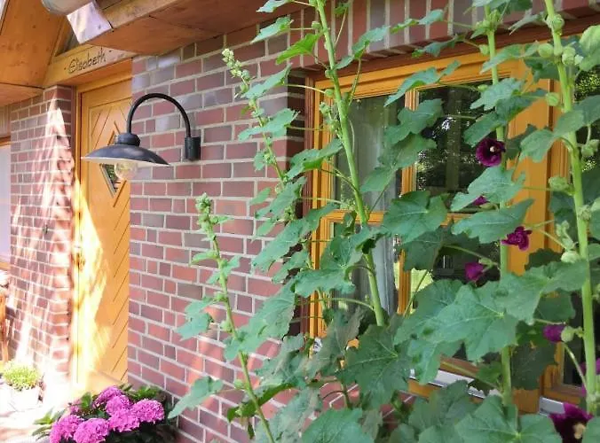 Country house Trapp Ellringen