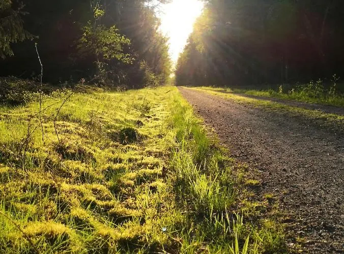 Country house Trapp Ellringen