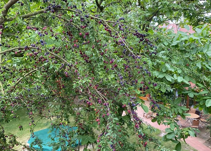 Trapp Country house *